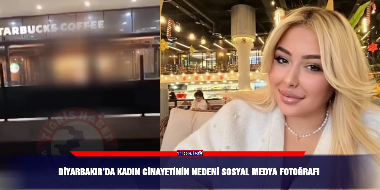 Diyarbakır’da kadın cinayetinin nedeni sosyal medya fotoğrafı