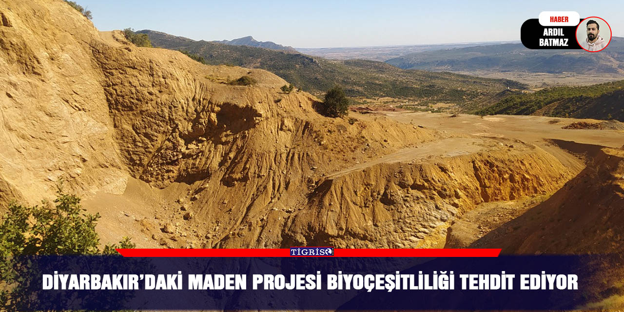 Diyarbakır’daki maden projesi biyoçeşitliliği tehdit ediyor