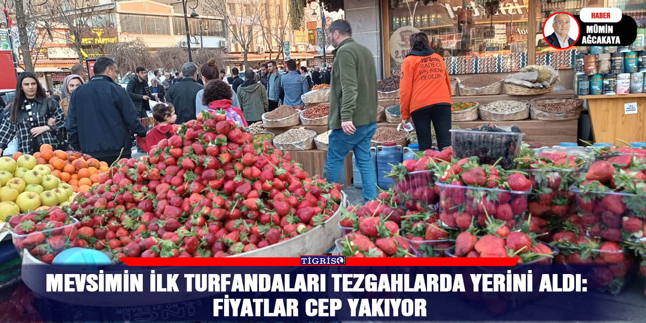 Mevsimin ilk turfandaları tezgahlarda yerini aldı:  Fiyatlar cep yakıyor