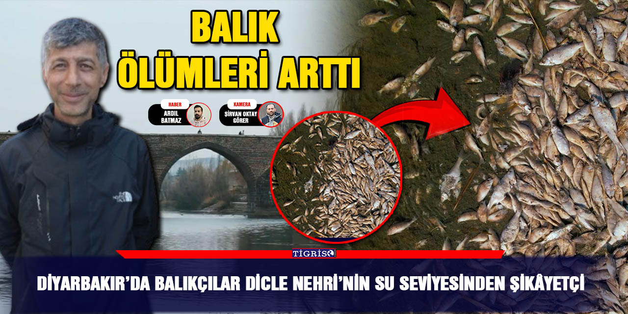 VİDEO - Diyarbakır’da balıkçılar Dicle Nehri’nin su seviyesinden şikâyetçi