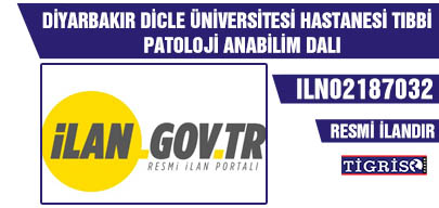 DİYARBAKIR DİCLE ÜNİVERSİTESİ HASTANESİ TIBBİ PATOLOJİ ANABİLİM DALI