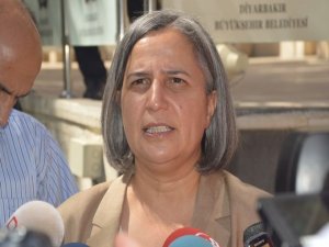 Kışanak: Anadilde eğitimi ya devlet versin yada yerel yönetimlere devretsin