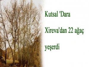 Kutsal 'Dara Xireva'dan 22 ağaç yeşerdi