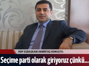 Demirtaş: Seçime parti olarak girmek risk ama...