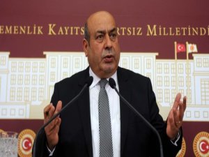 Kaplan: 'Cizre'de bağımsız heyet kurulmalı'