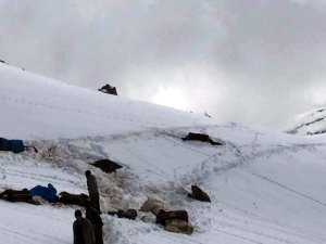 'Katırların intiharı' meclis gündeminde