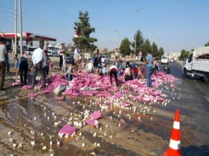 Devrilen Kamyondan Yola Savrulan Yumurtaları Vatandaş Topladı