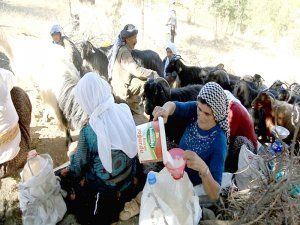 Her gün ölümle yüz yüze kalıyorlar