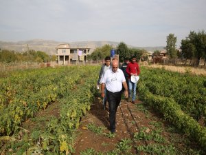 Organik ürün pazarı kuruluyor