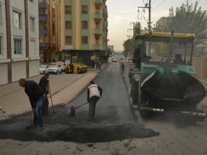 Büyükşehir: 160 kilometre yol asfaltladık