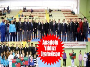 Anadolu  Yıldızı’ Diyarbekirspor