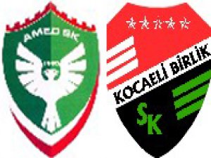 Amedspor’un Tahammülü Kalmadı