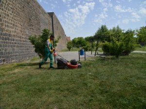 Sur diplerindeki yeşil alanlar yeniden düzenlendi