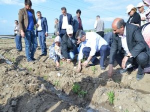 “Bostanın geliri ailelere kalacak”