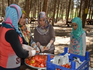 YÜZLERCE GÖÇ VE ŞİDDET MAĞDURU, PİKNİK ŞENLİĞİNDE BİR ARAYA GELDİ