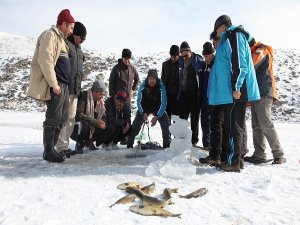 Ekmeğini taştan değil, buzdan çıkarıyor