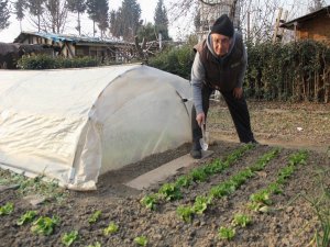 Tarlada çalışıp üstüne para veriyorlar