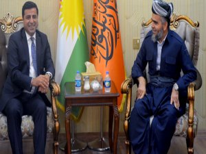 Demirtaş’tan Erbil’de birlik vurgusu