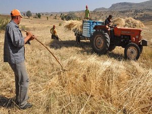 Çiftçiye 13 milyar!