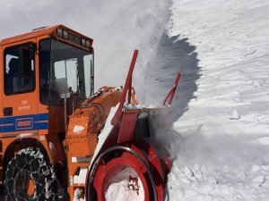 Van Bahçesaray yolu ulaşıma açıldı