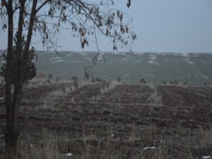 Amonyum nitratlı gübre tartışması