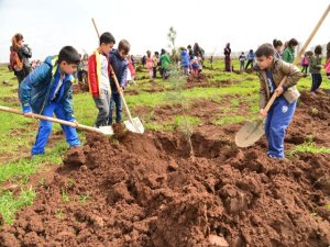 Fidan dikim sezonunu minik öğrenciler açtı