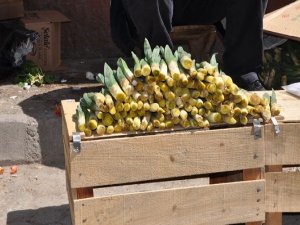 Baharın müjdecisi "gülik" pazara indi