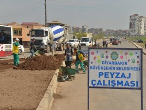 Kent girişlerinde peyzaj çalışması başladı