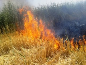 Bismilli çiftçilere "anız yakmayın" uyarısı