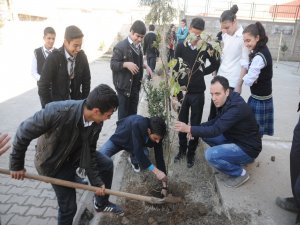 Cizre’de 300 fidan toprakla buluştu