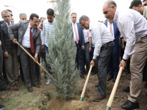 Atilla, şehitler anısına fidan dikti