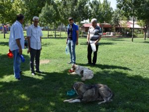 Doğa koruma ekipleri sokak hayvanlarını da unutmuyor