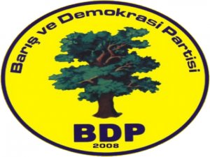 BDP'den Mecit Baskın davasına katılım çağrısı