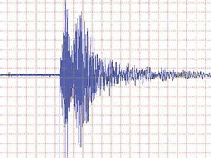 Van'da korkutan deprem dün gece sallandı