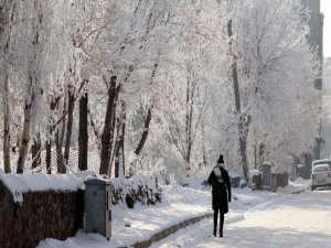 Doğu'da Sibirya soğukları