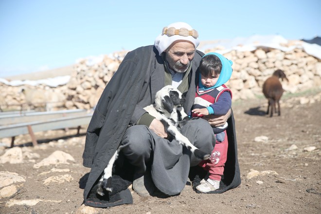 Göçer Ali'nin hayvancılıkla geçen ömrü