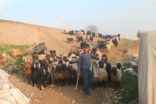 Yayla yolu göçerleri sevindirdi