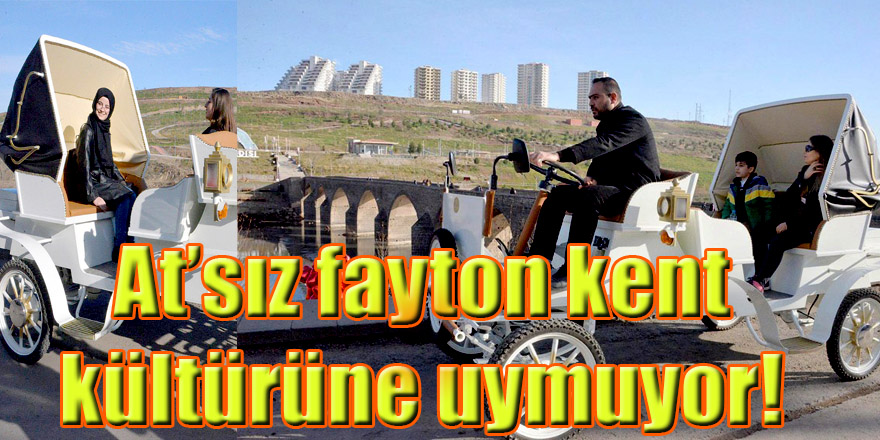 At’sız fayton kent kültürüne uymuyor!