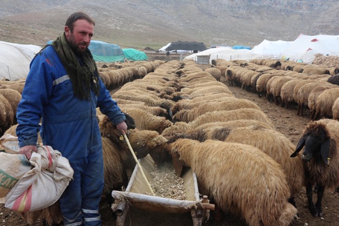 Göçerler yağış olsun diye dua ediyor