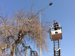 İtfaiyecilerden tavuk kurtarma operasyonu