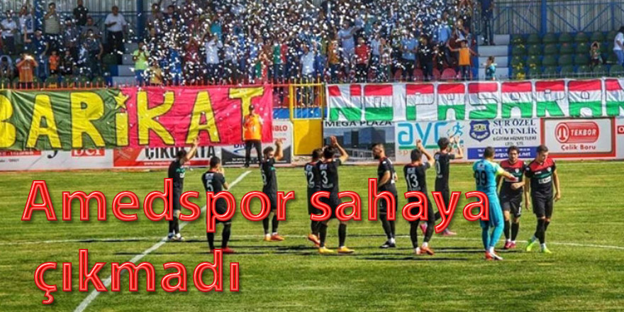 Amedspor sahaya çıkmadı