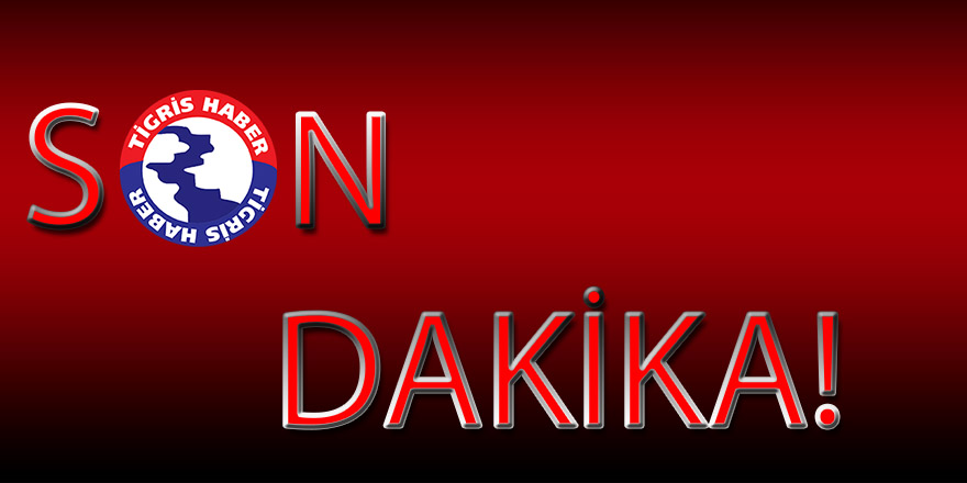 DBP Eş Genel Başkanı gözaltına alındı