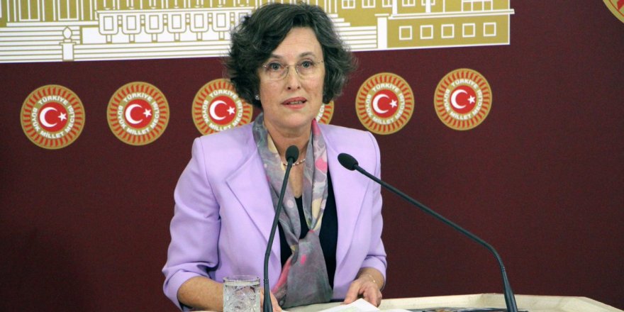 HDP'li Kerestecioğlu: İstismara karşı seferberlik ilan edilmeli