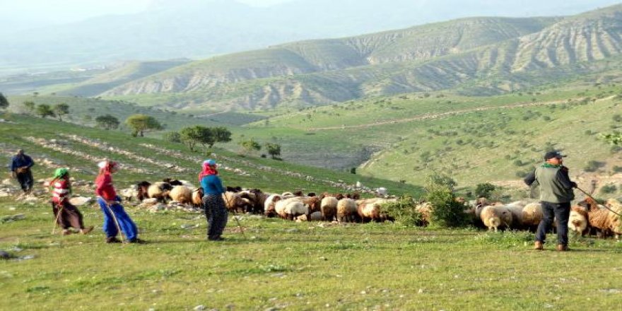 Zorlu yolculuk devam ediyor