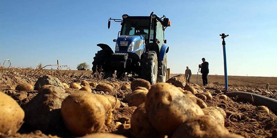 Patates ve soğan fiyatları 'uçuşa geçti'