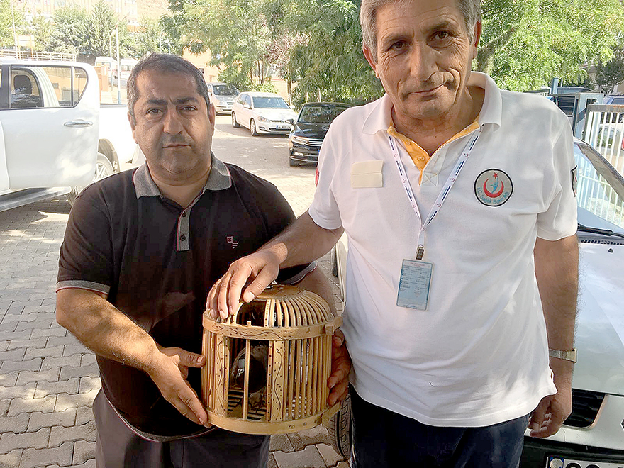 112 Ekiplerinden Yaralı Güvercine İlk Müdahale