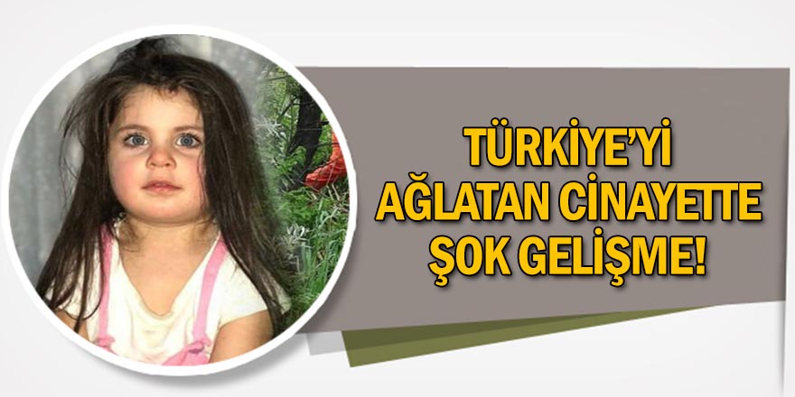 Ağrı Baro Başkanı: Leyla'nın cinayetinde fail tek kişi değil