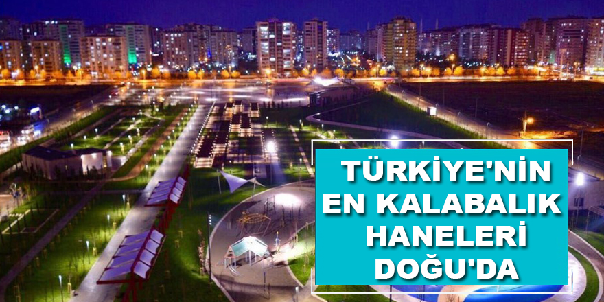 Türkiye'nin en kalabalık haneleri Doğu'da