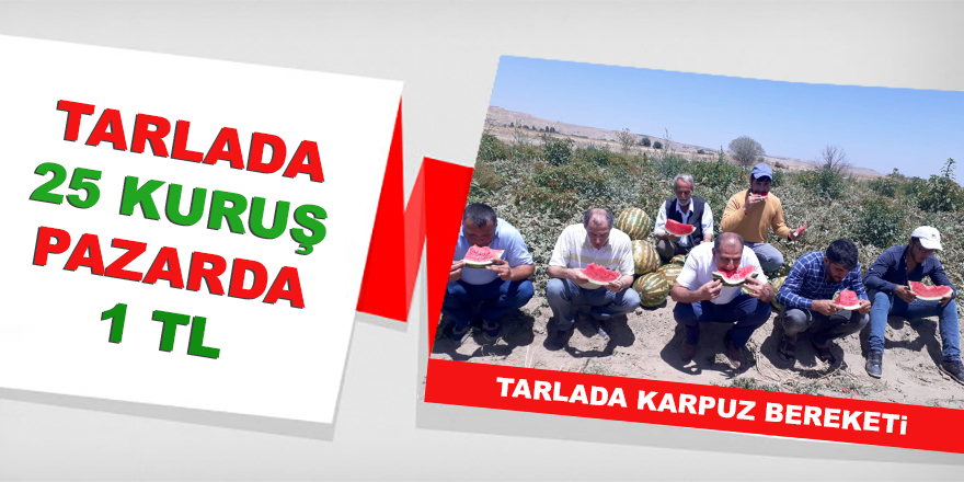 Tarlada 25 kuruş, pazarda 1 TL