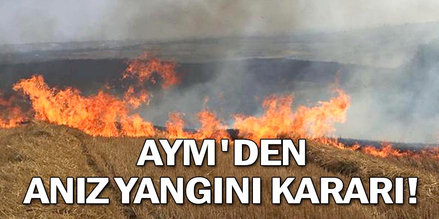 AYM'den anız yakma kararı!